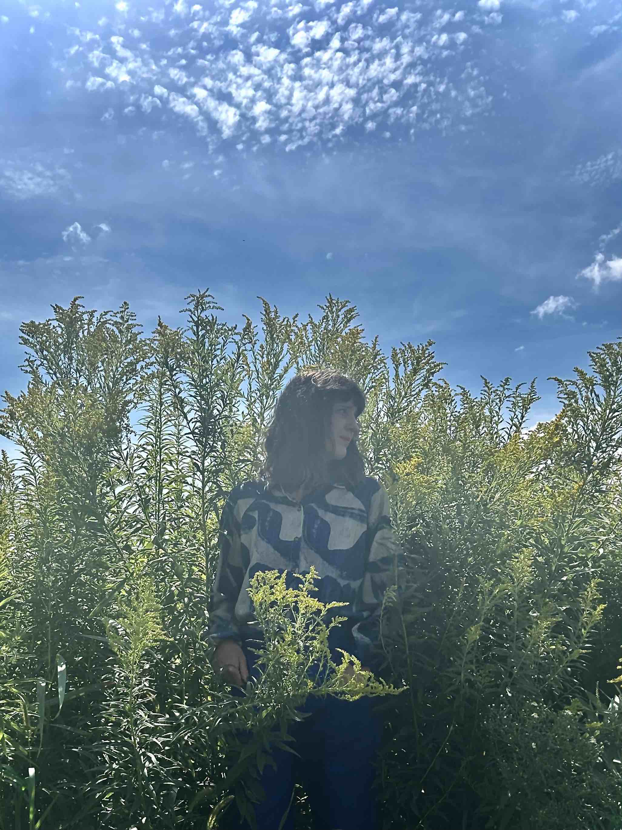 Blouse Épicéas- Blue brush