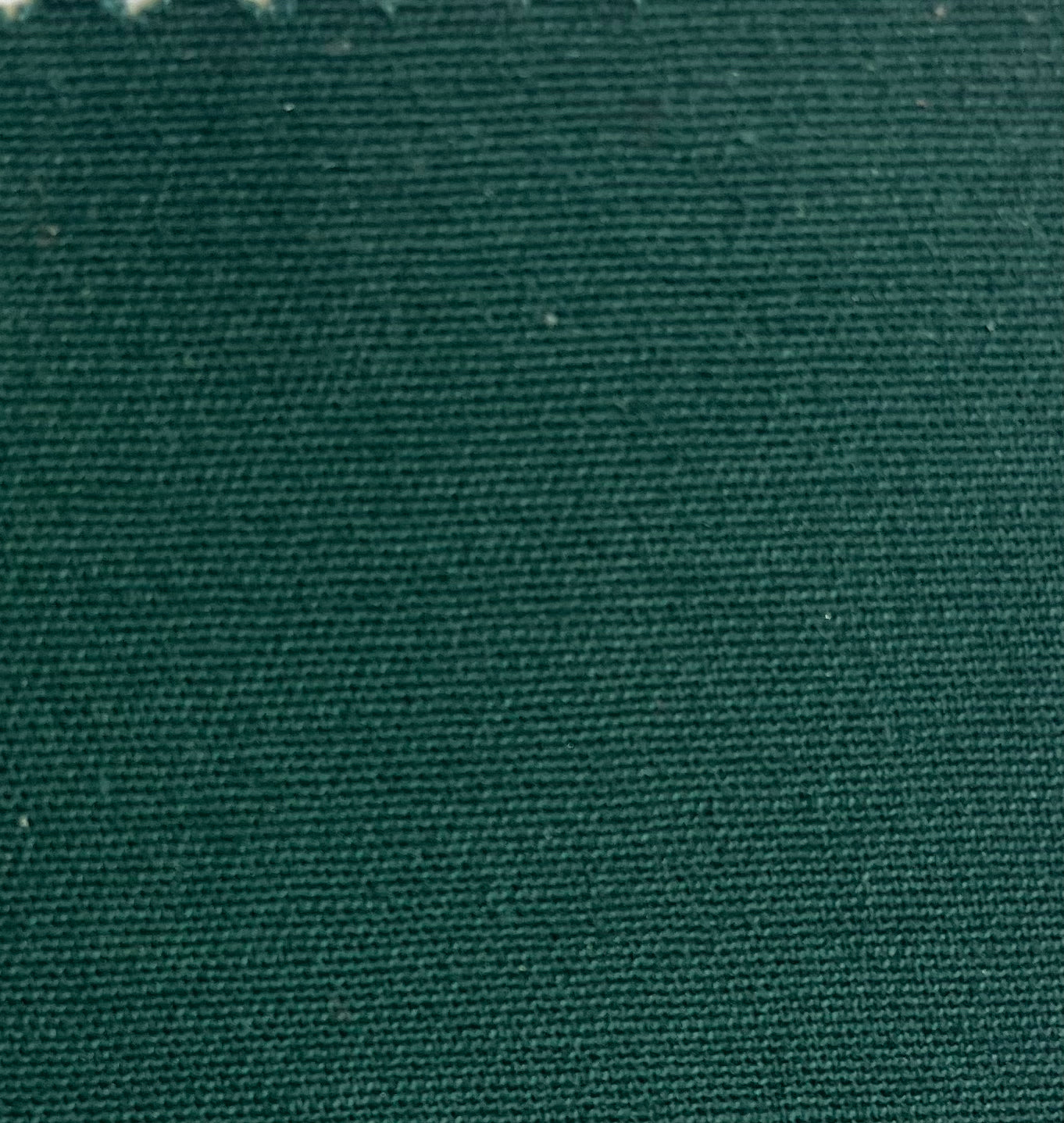 Pantalon NYSSA Émeraude